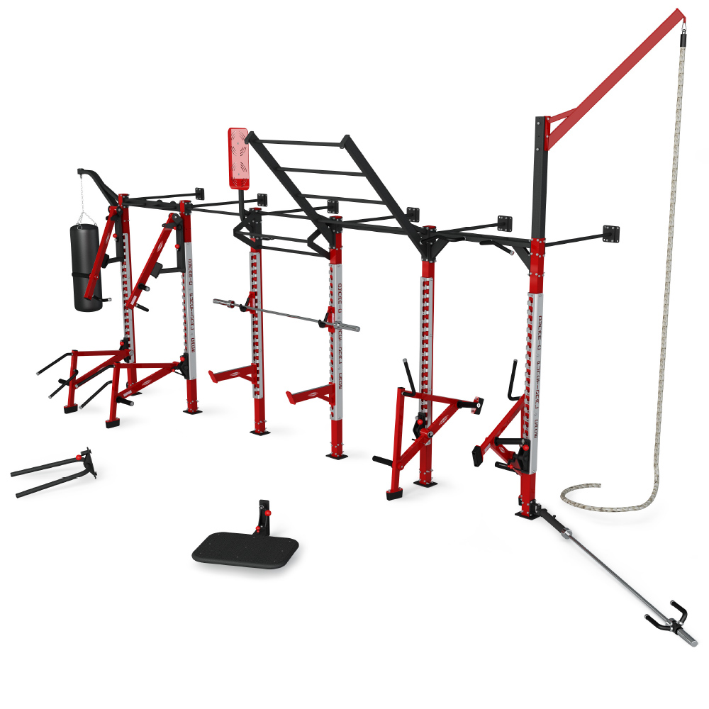 Wall mounted functional training cage