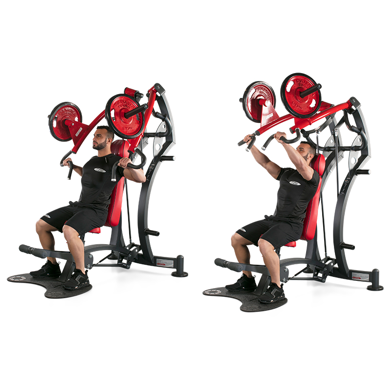 Chest Press