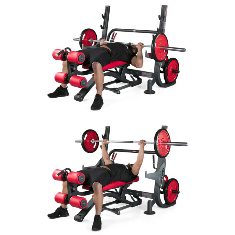 Olympic Multi Purpose Bench Press - Panatta Australia | Panatta Australia